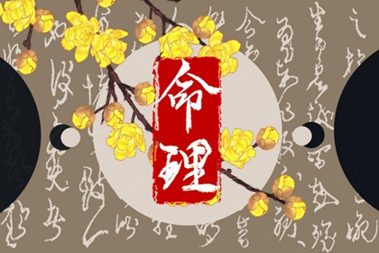 借卵代孕|借卵代孕服务|借卵代孕咨询