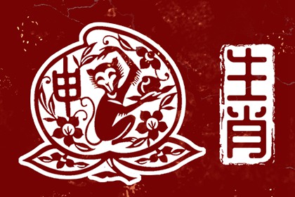 单身男性同志代怀公司 代孕生男孩的费用 代孕可以选择男孩吗