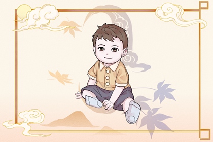 单身男性同志代怀公司 代孕生男孩的费用 代孕可以选择男孩吗