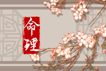 单身男性同志代怀公司 代孕生男孩的费用 代孕可以选择男孩吗