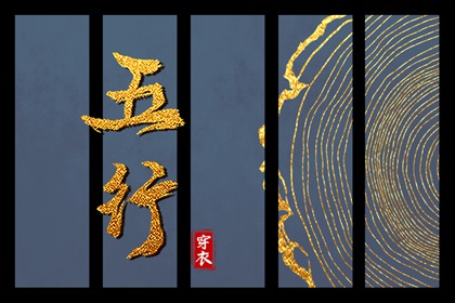 单身男性同志代怀公司 代孕生男孩的费用 代孕可以选择男孩吗