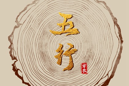 单身男性同志代怀公司 代孕生男孩的费用 代孕可以选择男孩吗